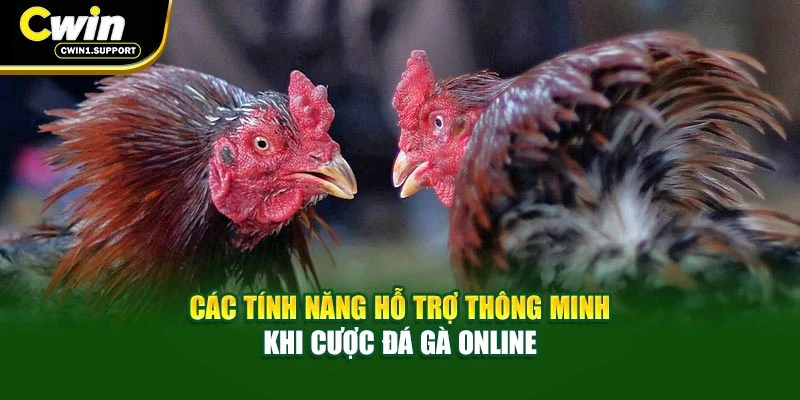 Các tính năng hỗ trợ thông minh khi cược đá gà online
