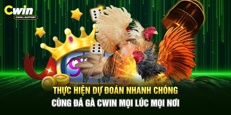 Thực hiện dự đoán nhanh chóng cùng đá gà CWIN mọi lúc mọi nơi