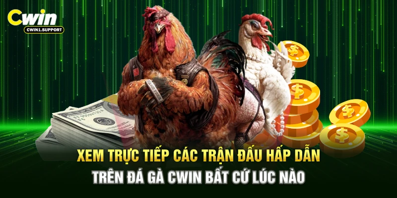 Xem trực tiếp các trận đấu hấp dẫn trên đá gà CWIN bất cứ lúc nào